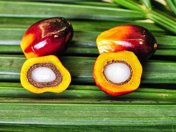 Renda-se você, também, ao sabor do azeite de dendê - Banca do Ramon — Blog
