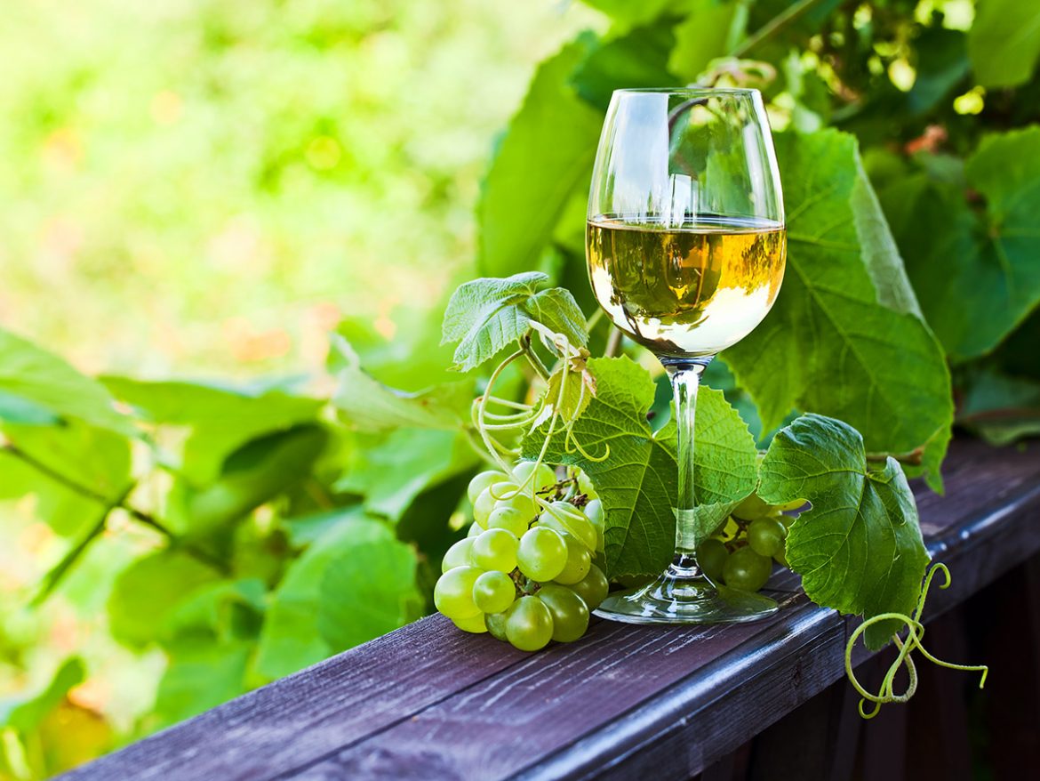 Uma taça de vinho ao lado de um cacho pequeno e uva verde