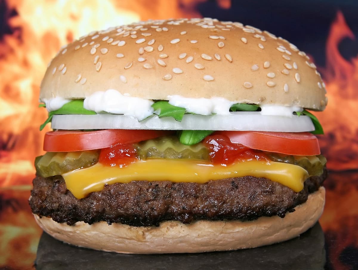 Um delicioso Cheeseburger 