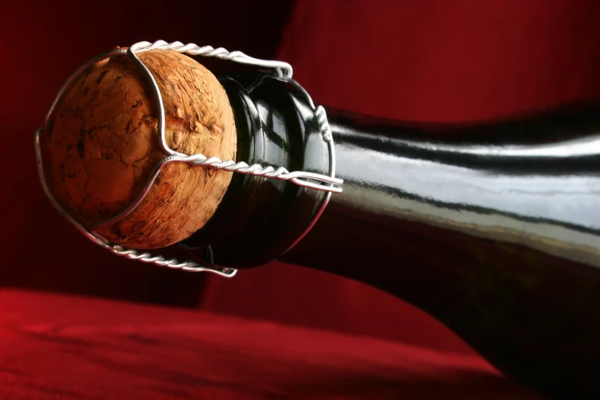 imagem de uma garrafa de lambrusco