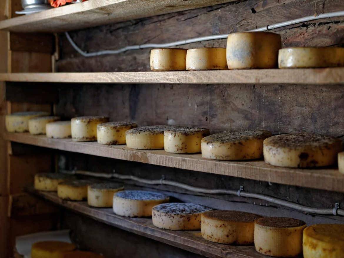 Uma estante de madeira repleta de queijos