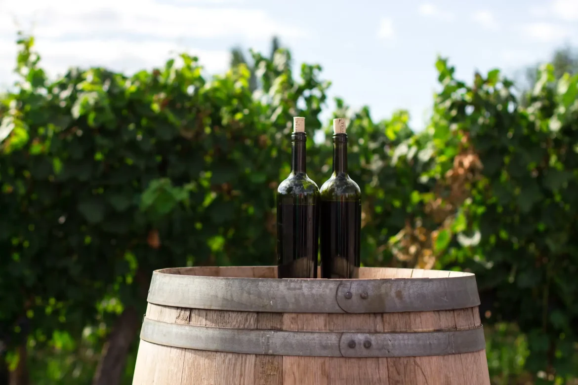 imagem de dois vinhos em cima de um barril