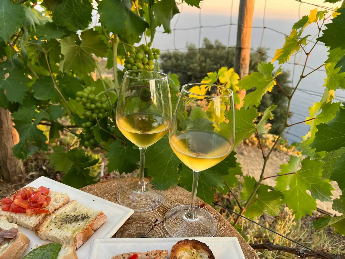 Duas taças de vinho branco sobre mesa em um vinhedo, acompanhadas de petiscos.